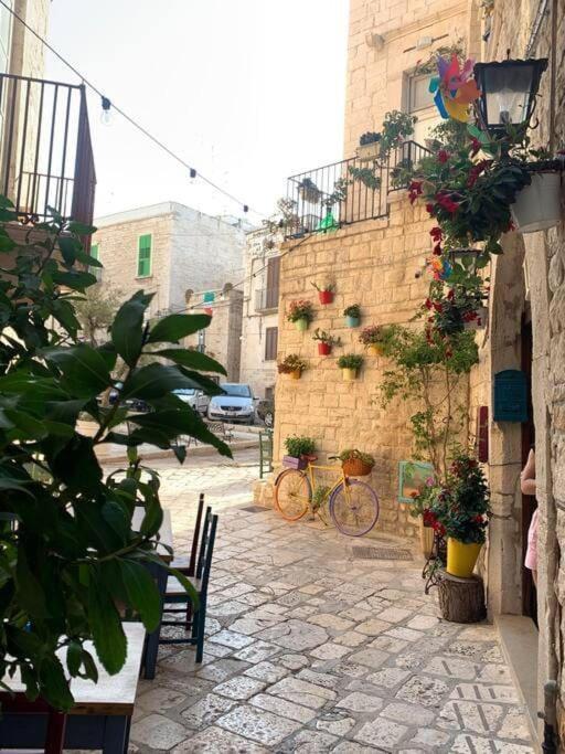 Casa Vacanza Raggio Di Sole Giovinazzo Esterno foto